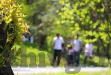 国产在线无码一区二区三区-国产在线影视的多元化探索，一区、二区、三区的魅力与挑战