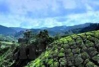 麻豆文化传媒免费版-解锁多元文化视角，麻豆文化传媒免费版的盛景与影响