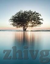 美日韩av-探索文化多样性与艺术表达，美日韩AV的独特视角