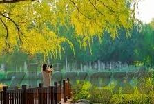 美味人妻3-品味生活之味，探索美味人妻3的温馨与情感