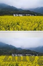 日韩成人av在线-日韩成人AV在线，文化、法律与个人选择的边界探讨