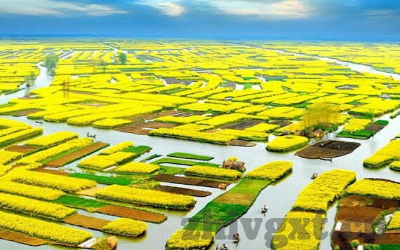 四虎麻豆av-不良信息的传播与预防，树立正确的价值观念至关重要