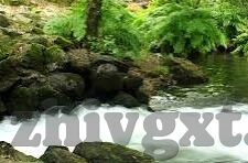糖心视频vlog现在时间-糖心时刻，记录当下之美的Vlog旅程